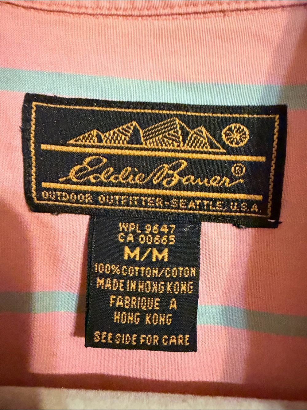 Vintage Eddie Bauer Pink Teal Striped Button Down Shirt Medium 100% Cotton - Picture 4 of 9